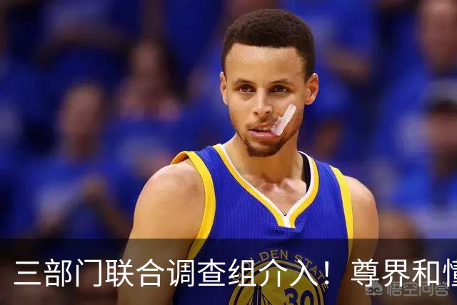 三部门联合调查组介入！尊界和懂车帝谁最慌？
