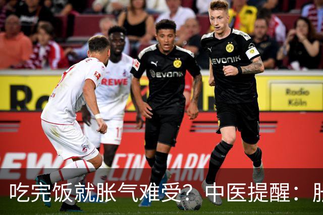 吃完饭就胀气难受？中医提醒：胀气也分人，调理方向大不同