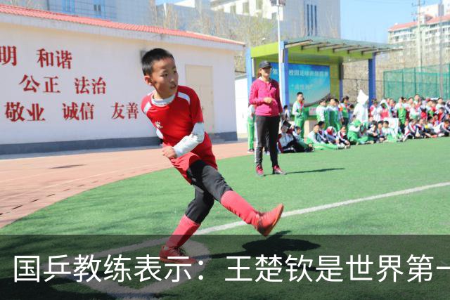 国乒教练表示：王楚钦是世界第一位强势打法的球员，樊振东则是综合能力最强的