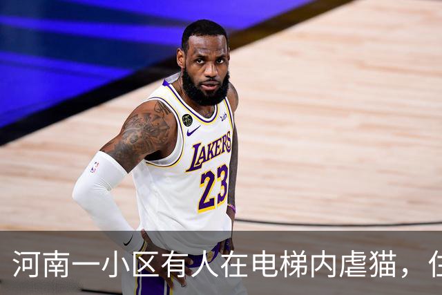 河南一小区有人在电梯内虐猫，住户称是一对母子，男子手撑电梯借力，踩踏猫身长达5分钟；警方已介入调查