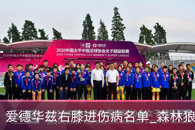 爱德华兹右膝进伤病名单 森林狼战骑士存变数