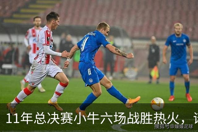 11年总决赛小牛六场战胜热火，诺维茨基场均26+10，热火三巨头数据如何？